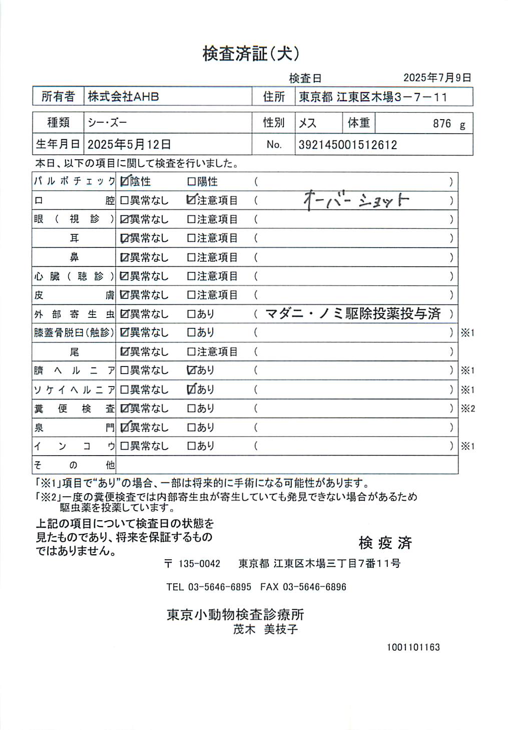 シー・ズー