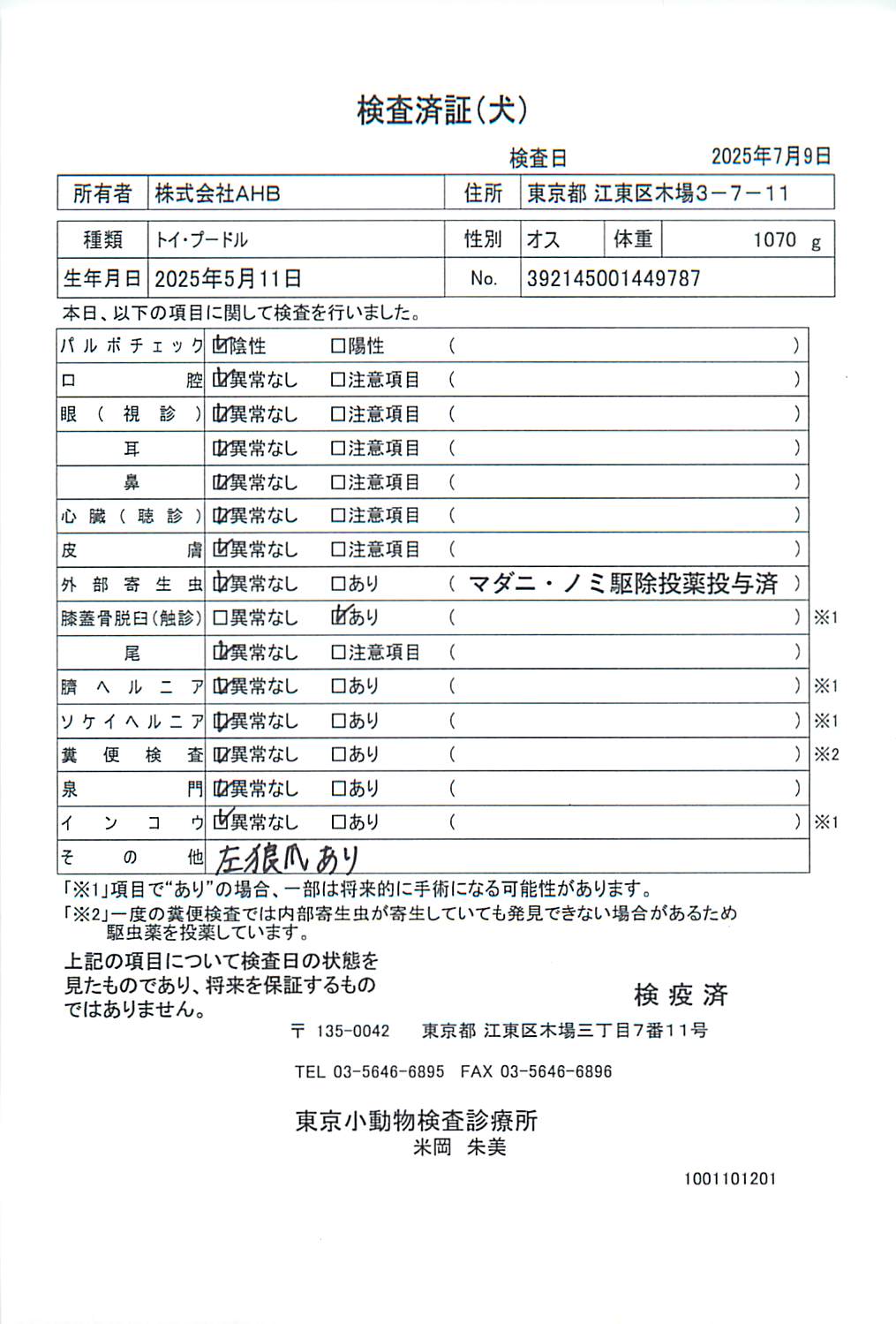トイ・プードル