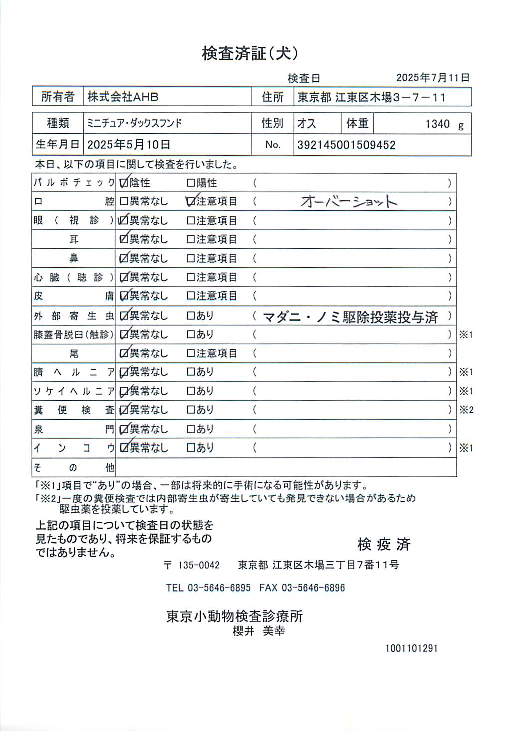ミニチュア・ダックスフンド