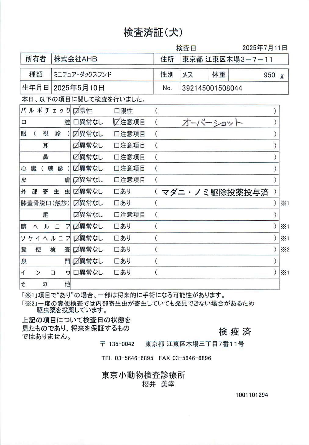 ミニチュア・ダックスフンド