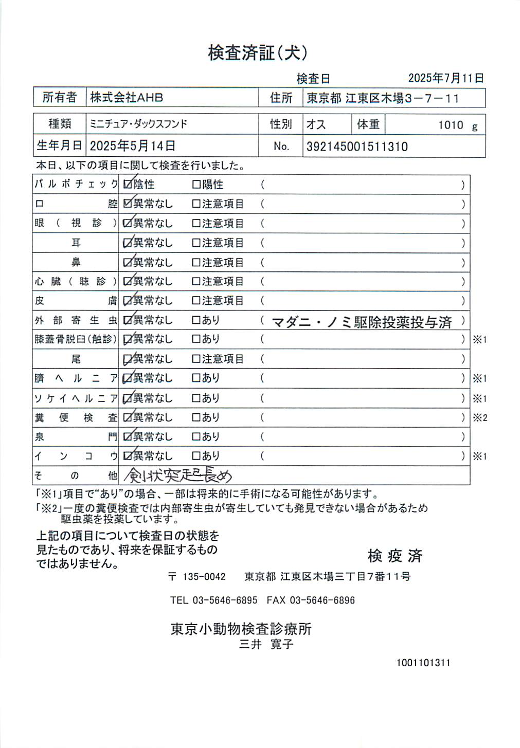 ミニチュア・ダックスフンド