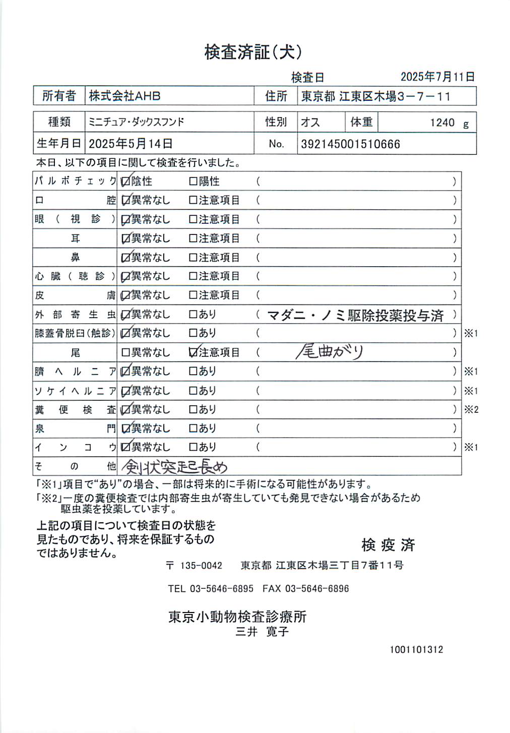 ミニチュア・ダックスフンド