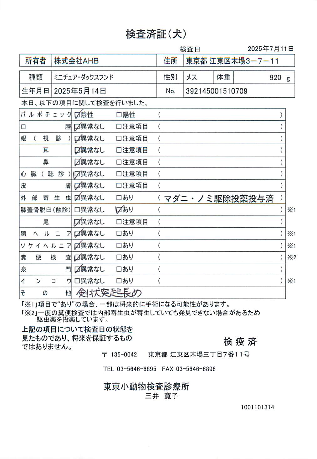ミニチュア・ダックスフンド