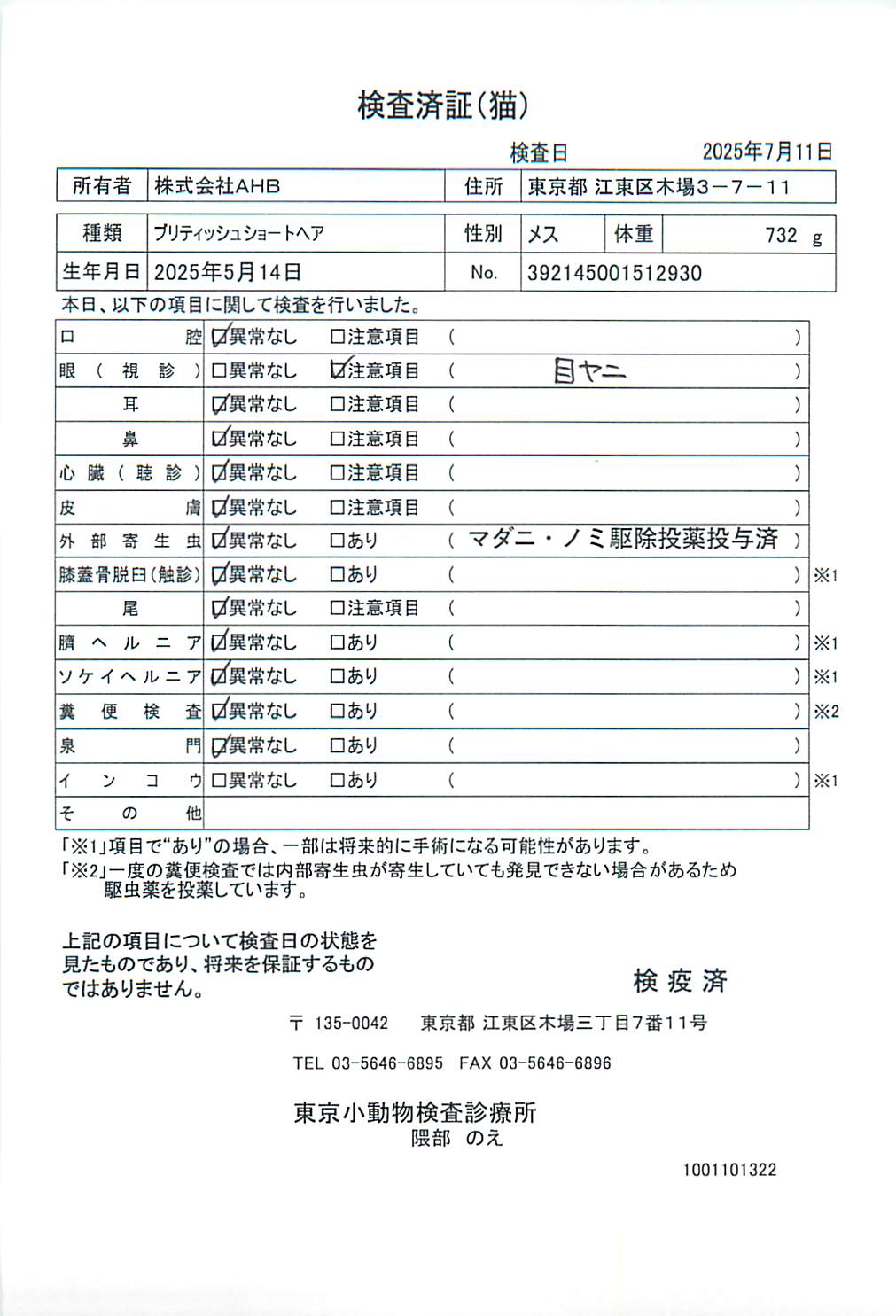 ブリティッシュショートヘア