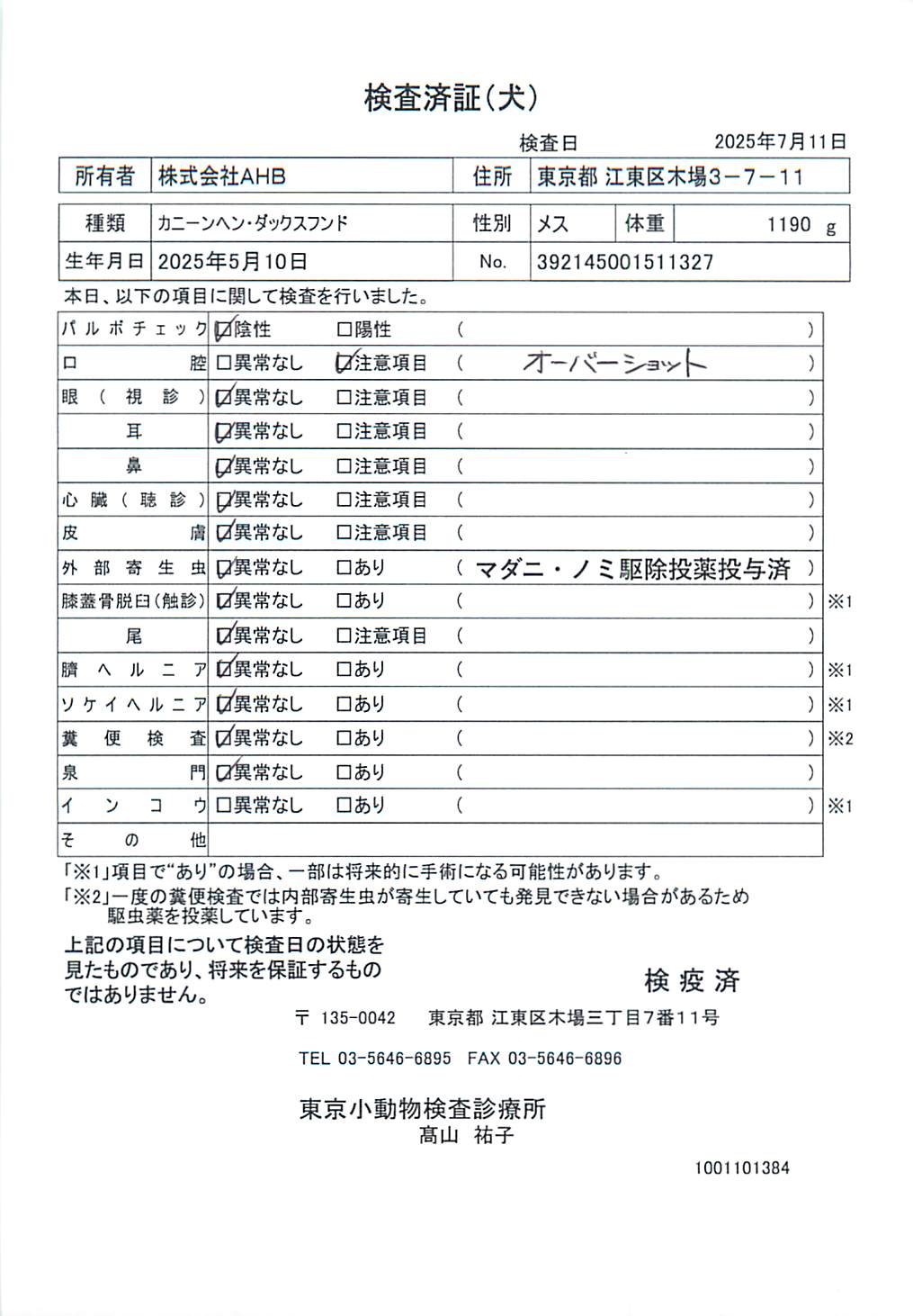 カニーンヘン・ダックスフンド