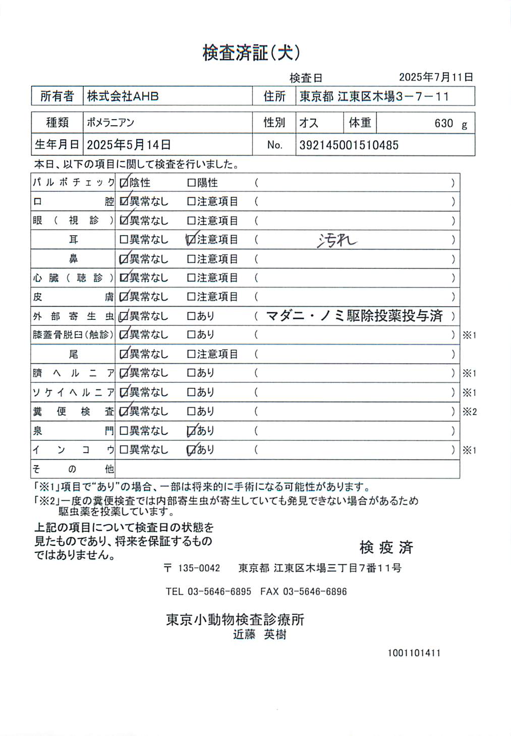 ポメラニアン