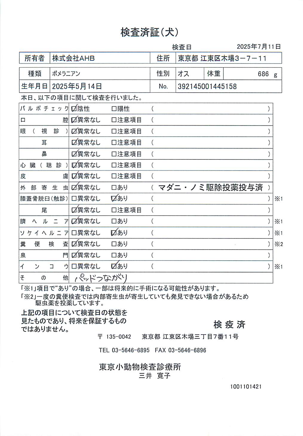 ポメラニアン