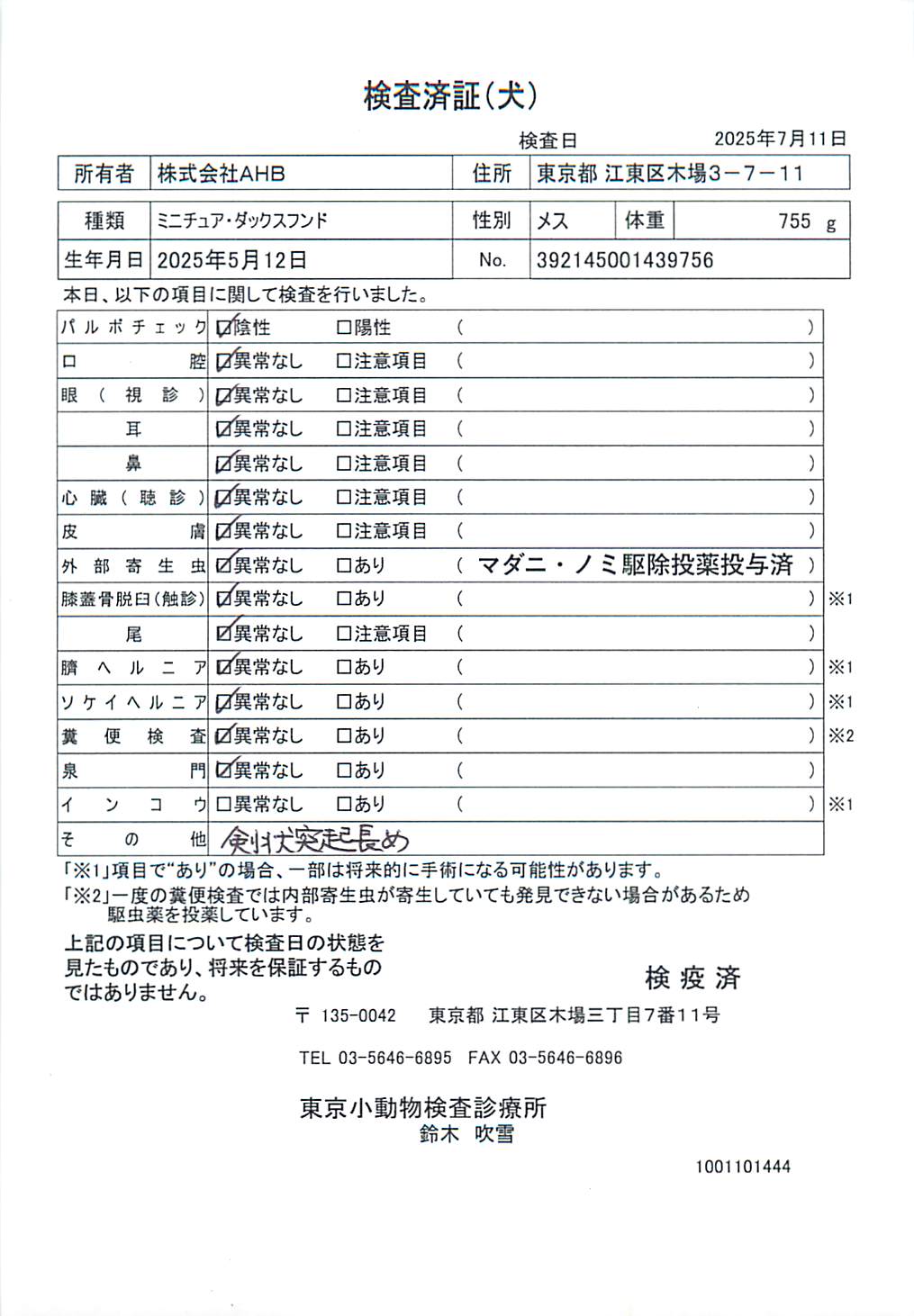 ミニチュア・ダックスフンド