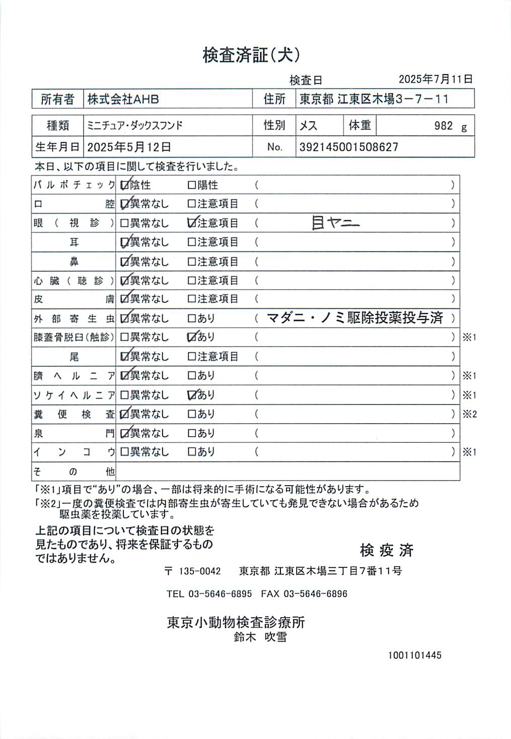 ミニチュア・ダックスフンド
