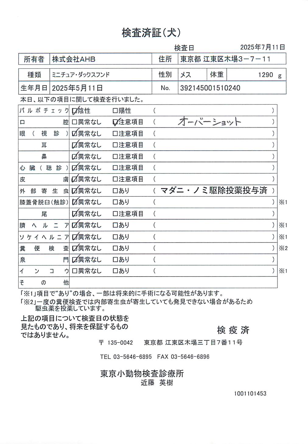 ミニチュア・ダックスフンド