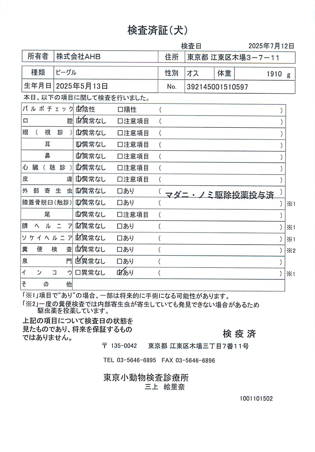 ビーグル