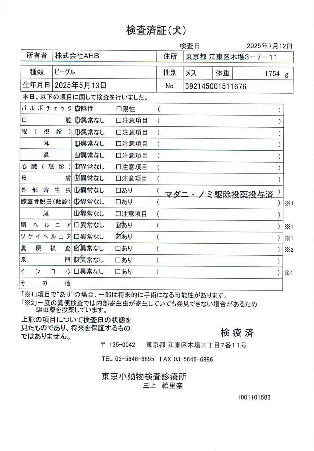 ビーグル