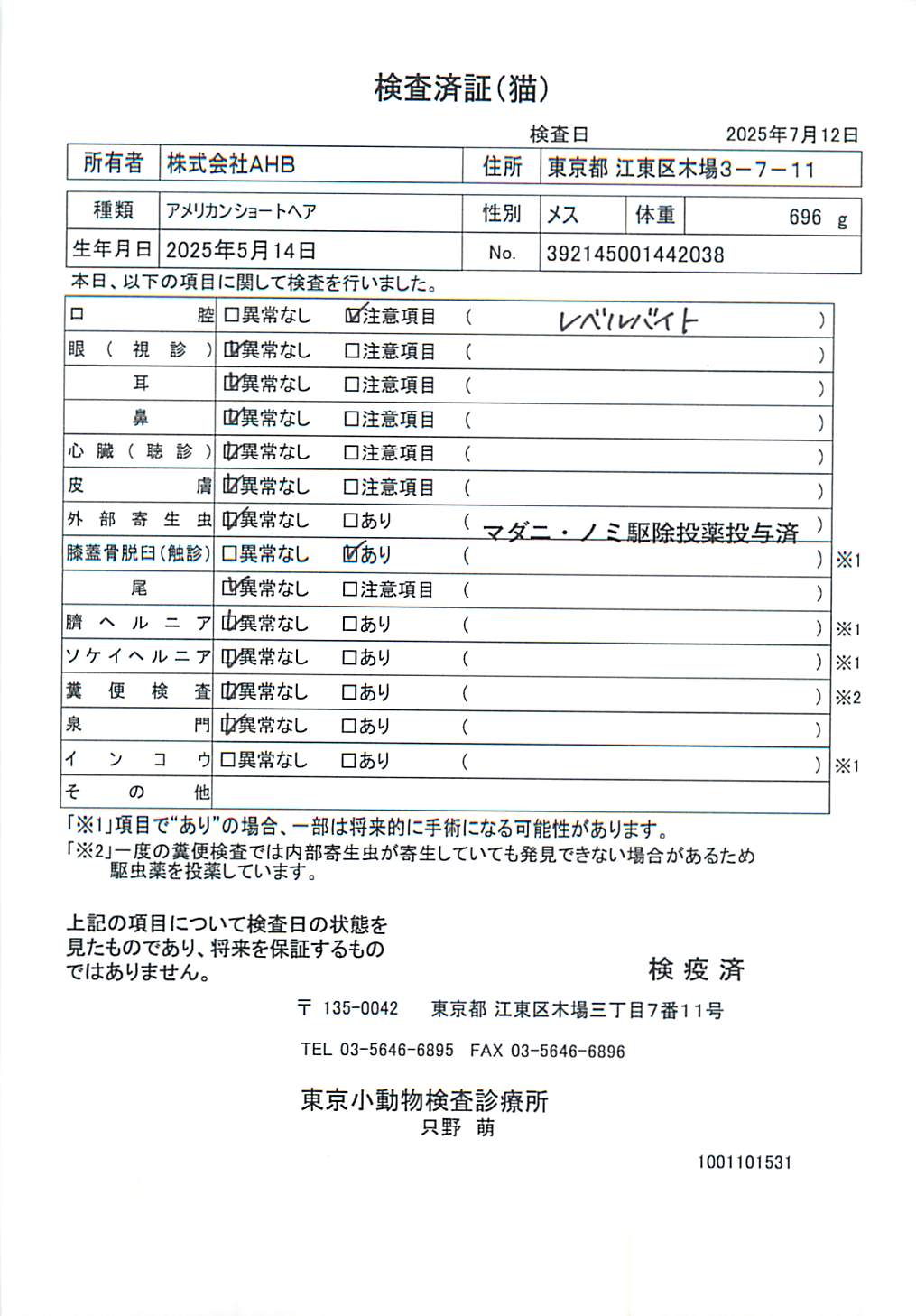 アメリカンショートヘア