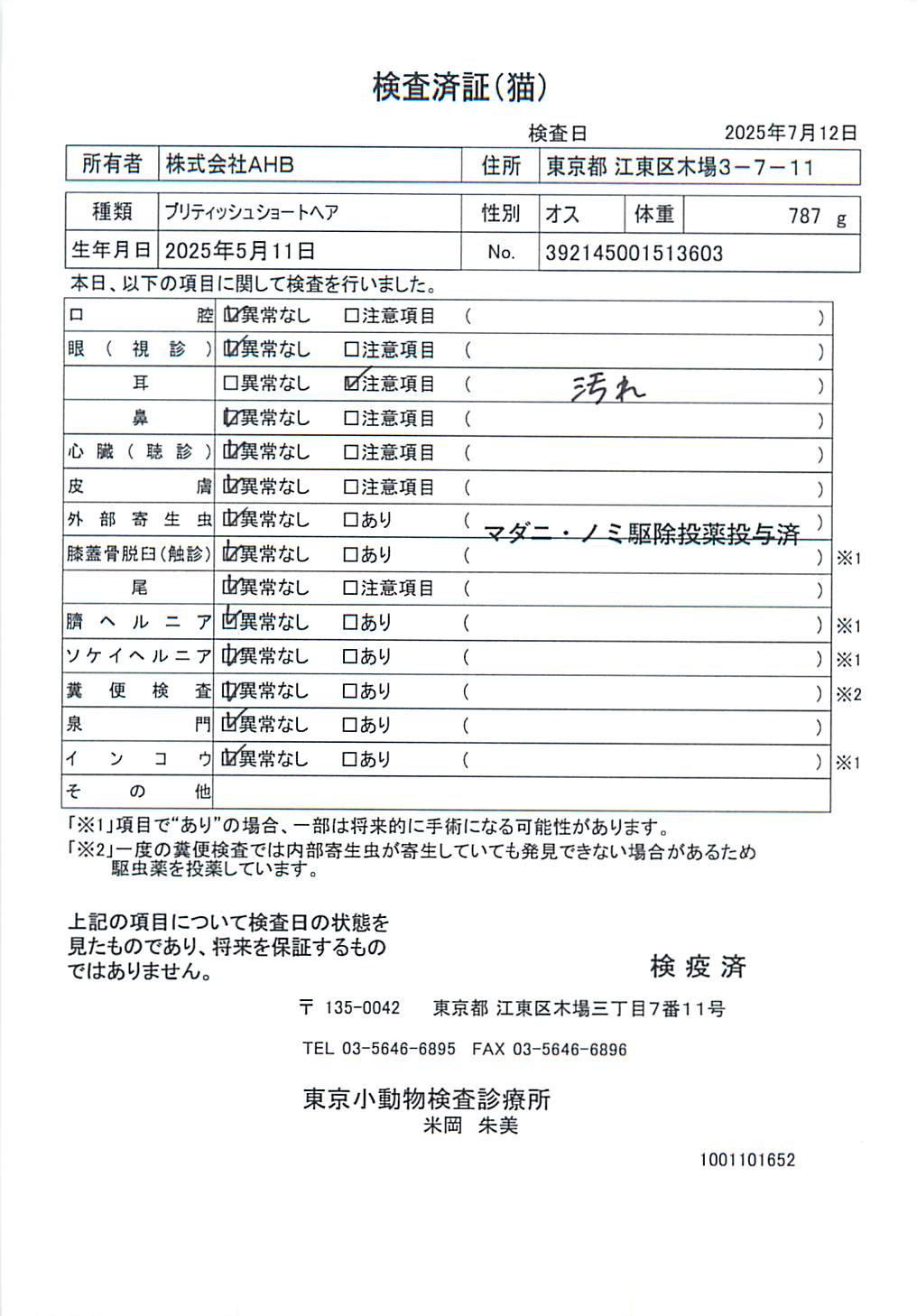 ブリティッシュショートヘア