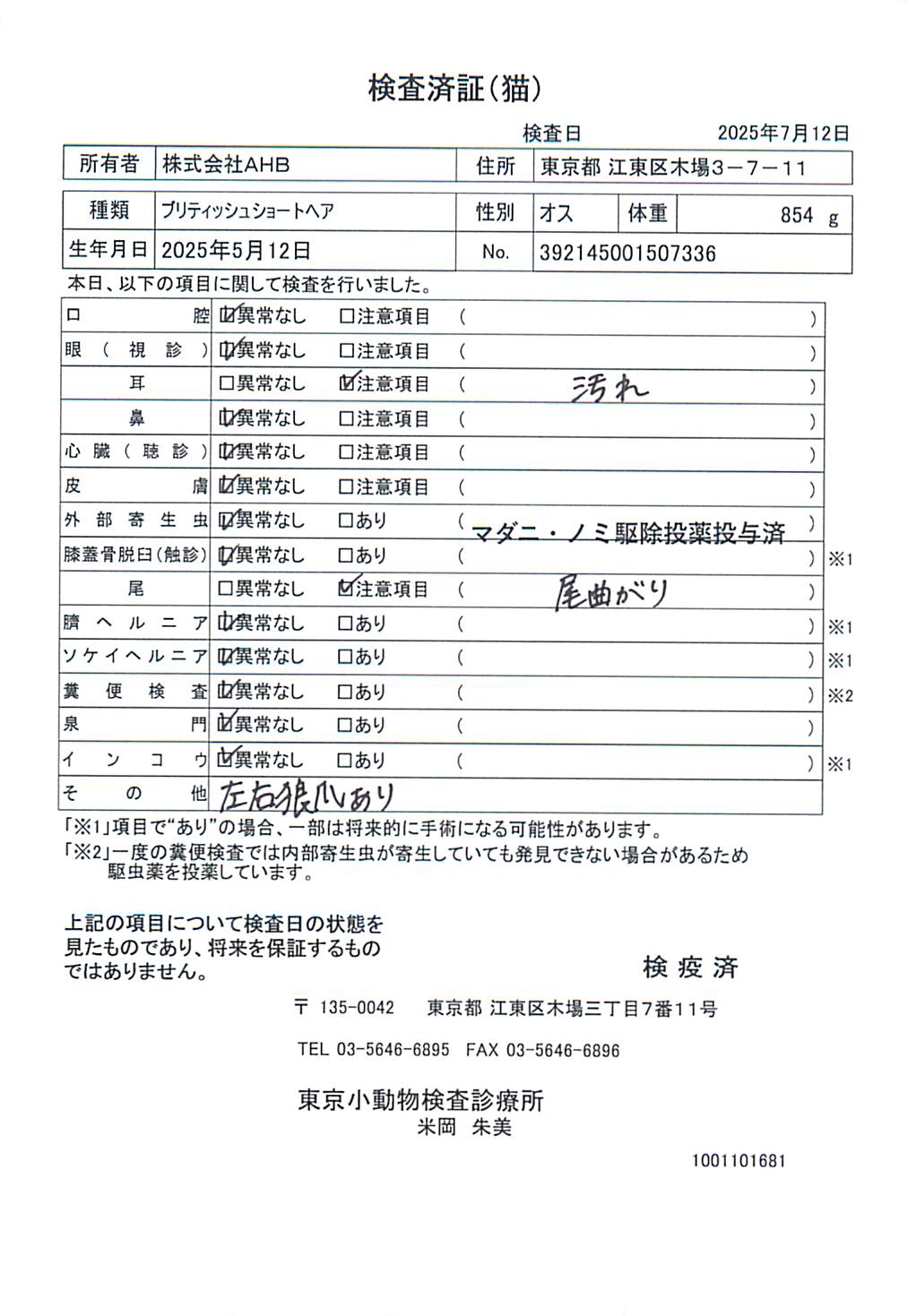 ブリティッシュショートヘア