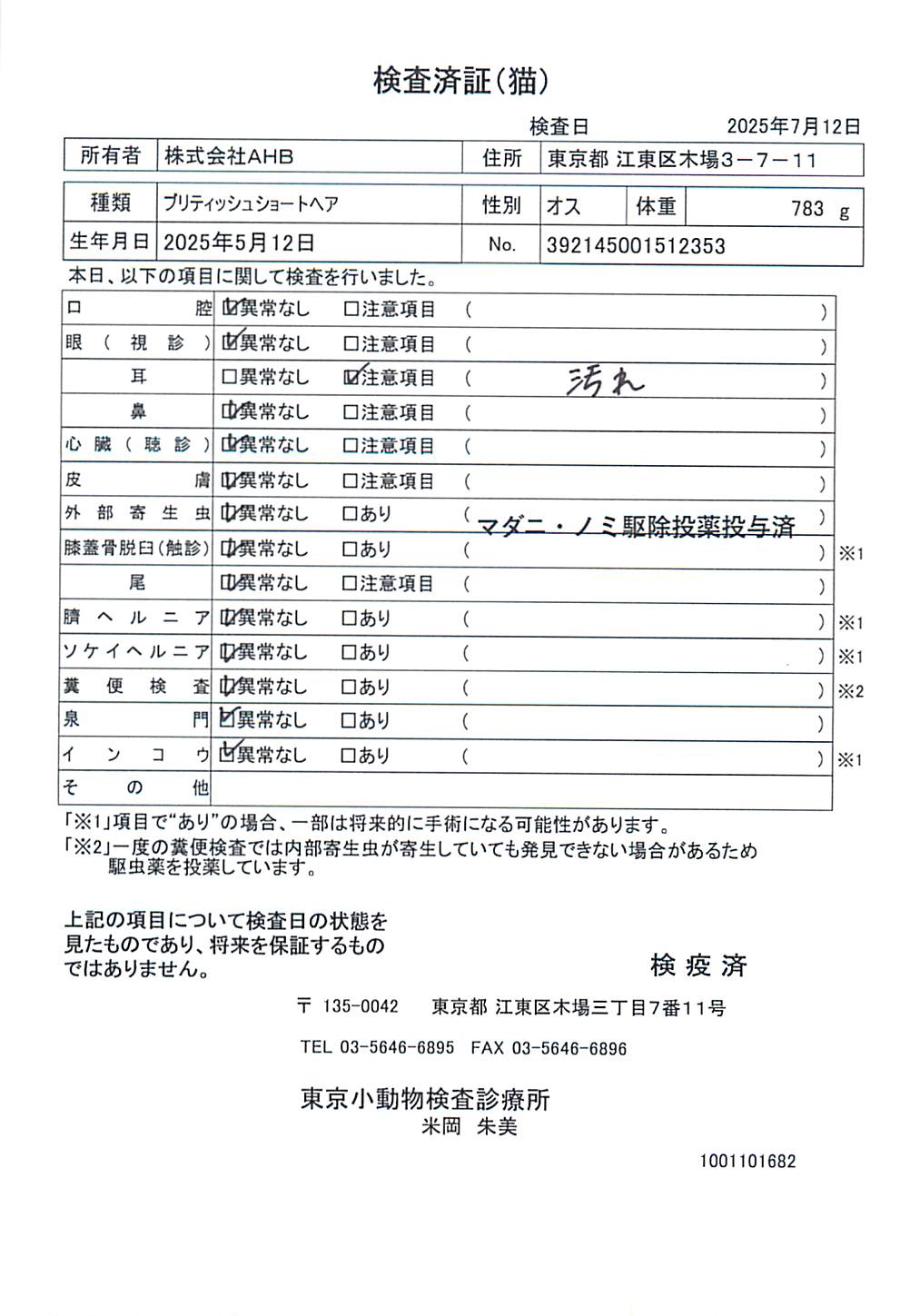 ブリティッシュショートヘア