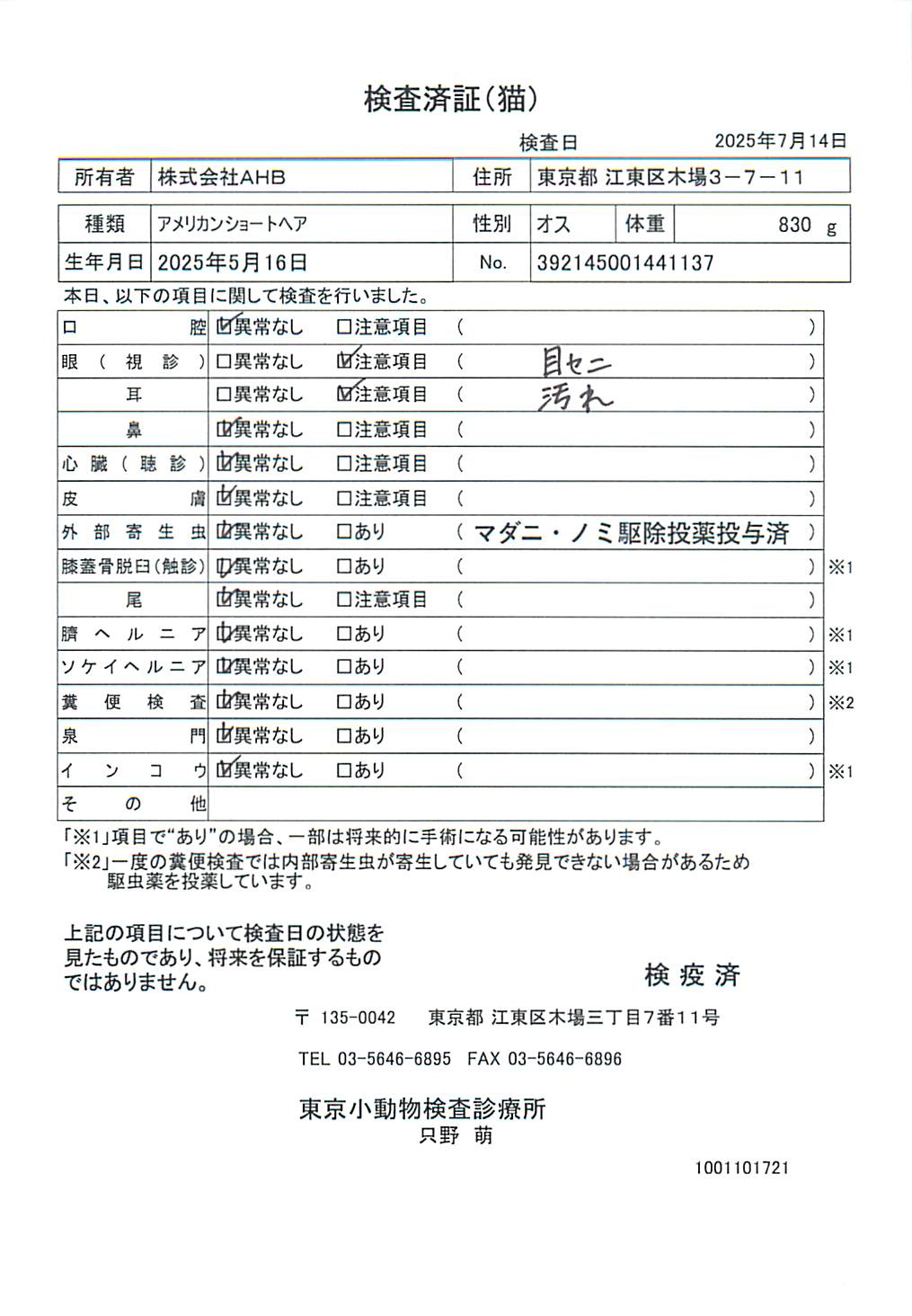 アメリカンショートヘア