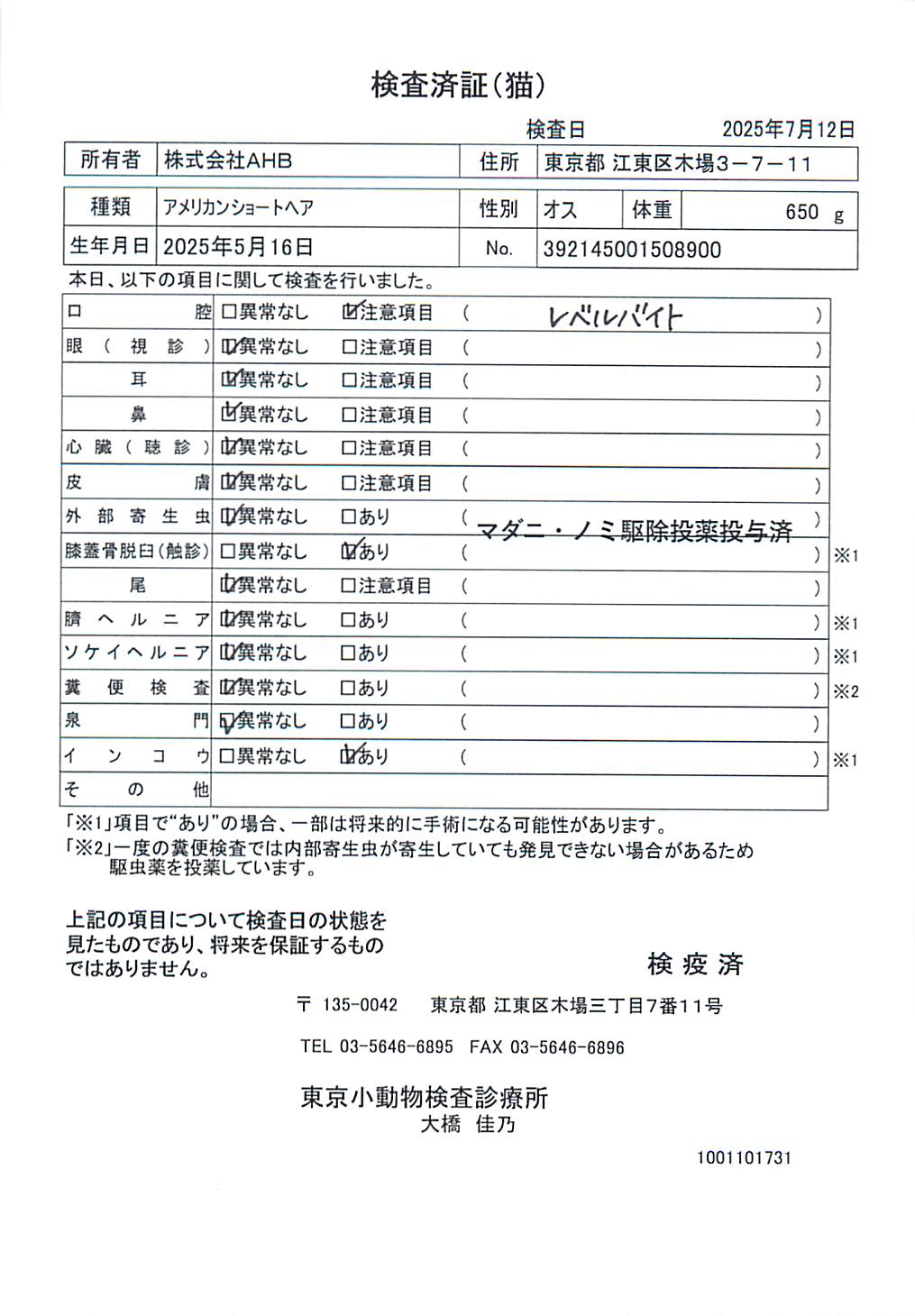 アメリカンショートヘア