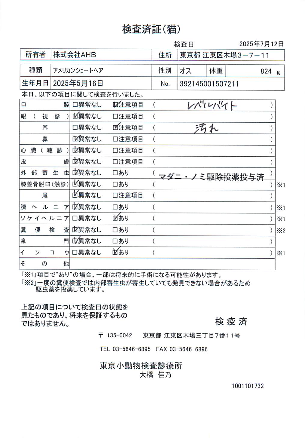 アメリカンショートヘア