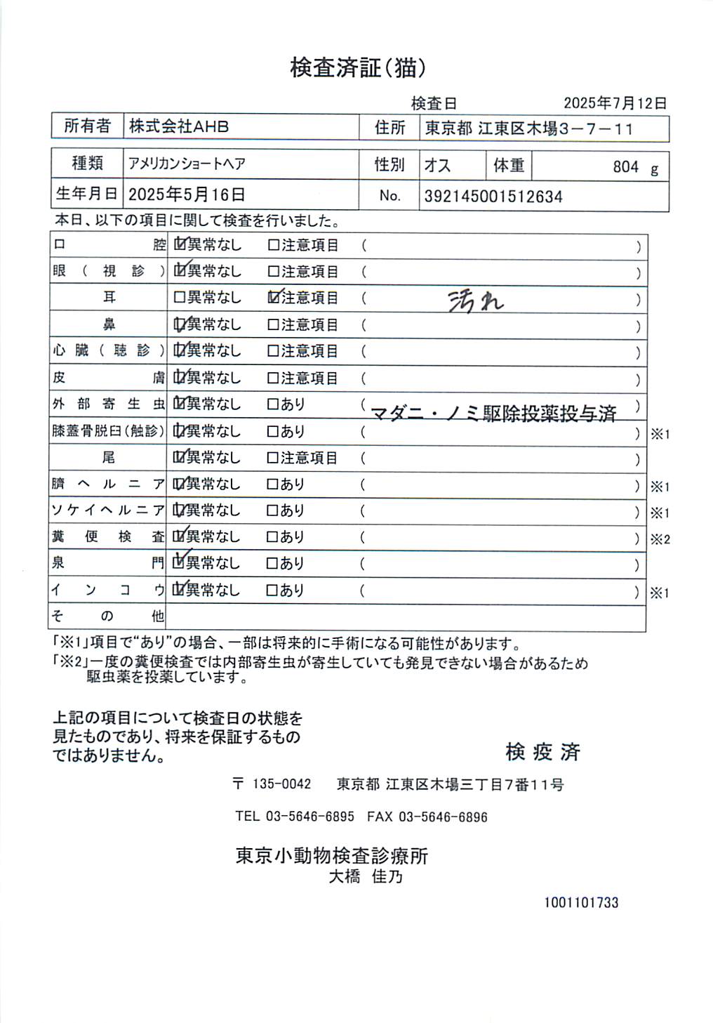 アメリカンショートヘア
