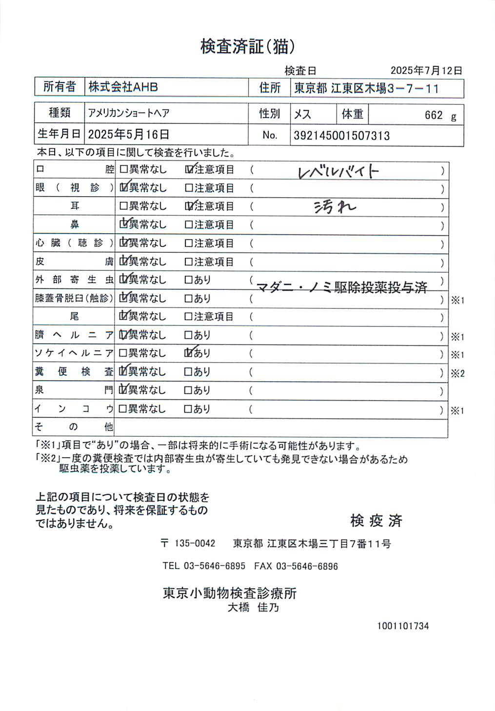 アメリカンショートヘア