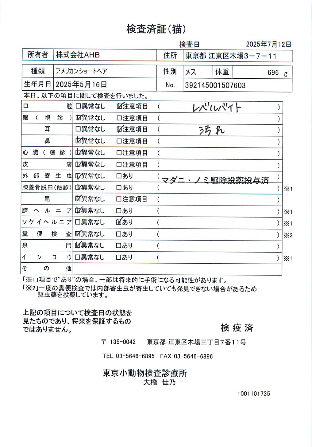 アメリカンショートヘア