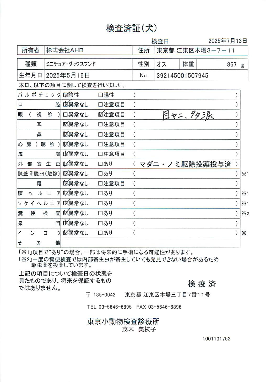 ミニチュア・ダックスフンド