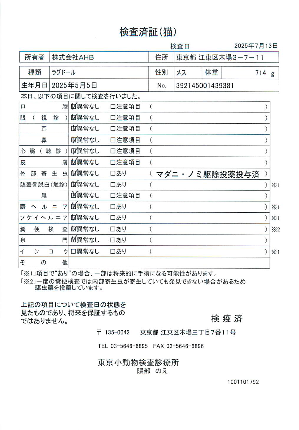 ラグドール