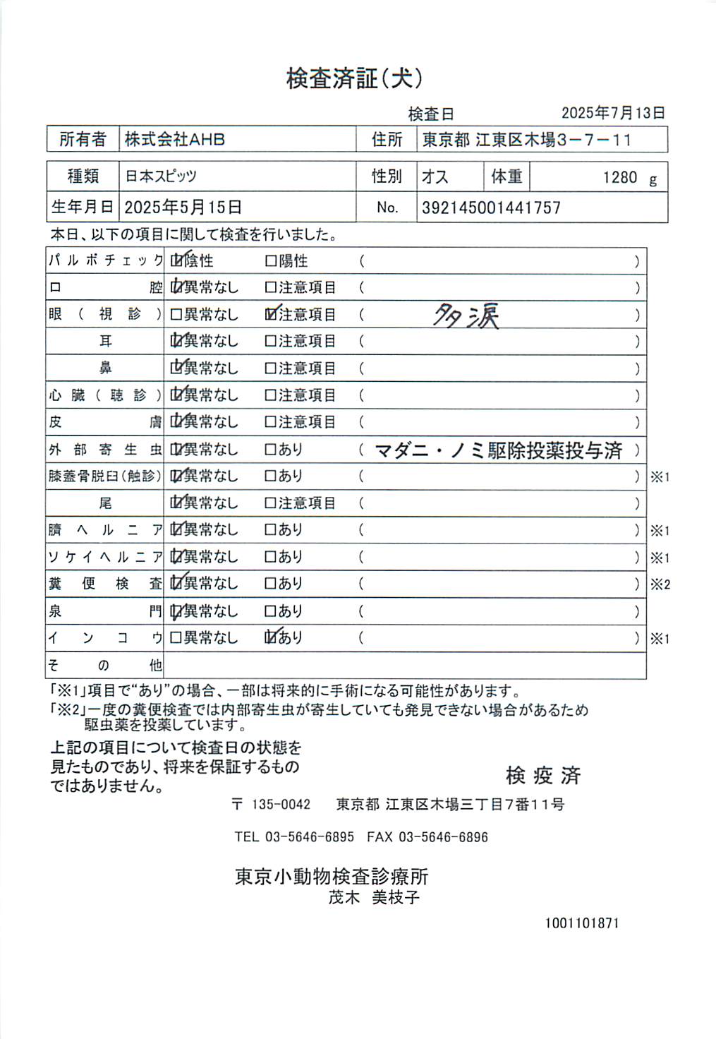 日本スピッツ