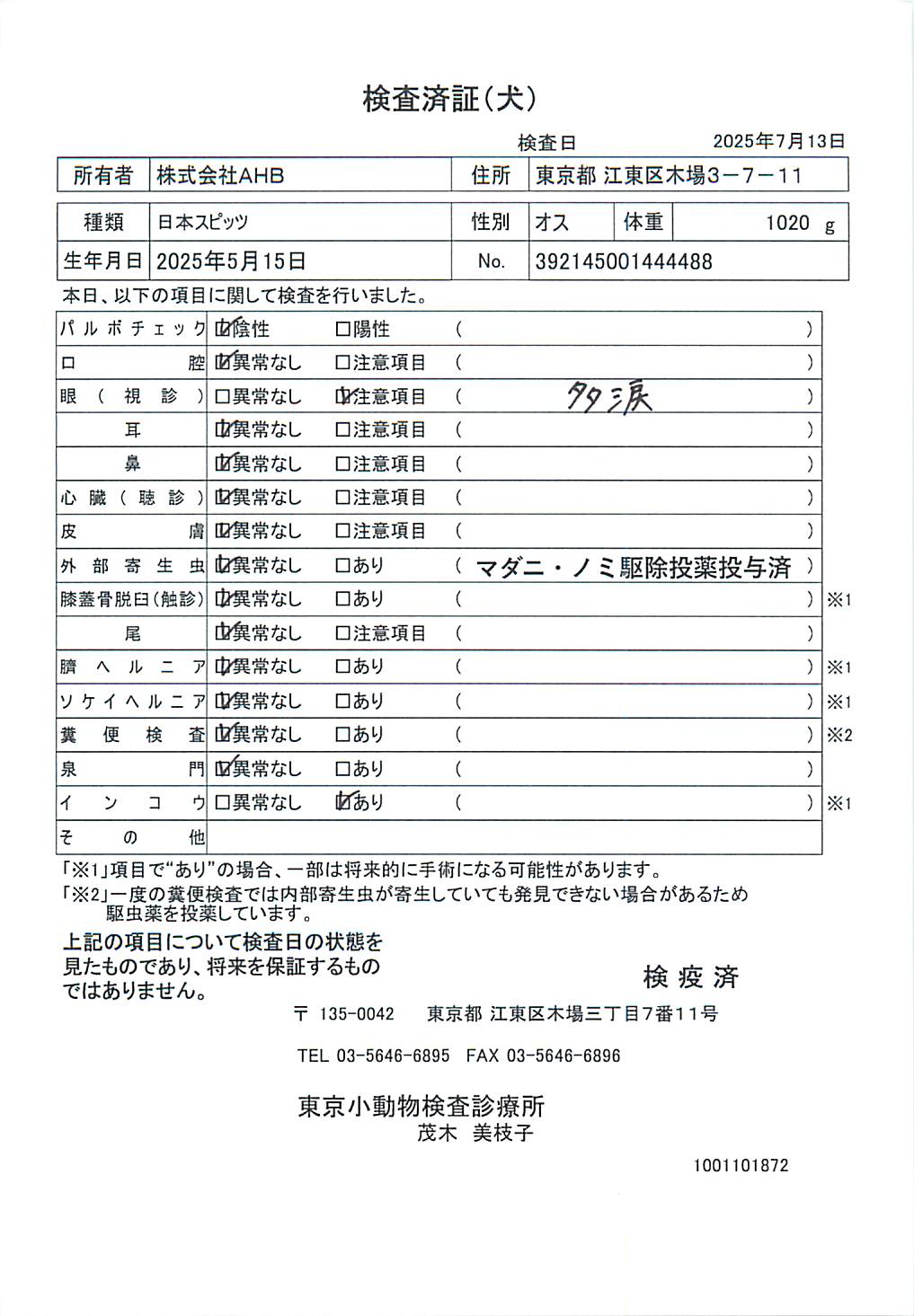 日本スピッツ