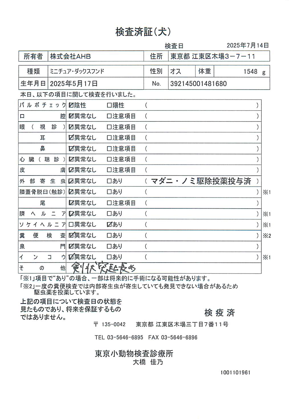 ミニチュア・ダックスフンド