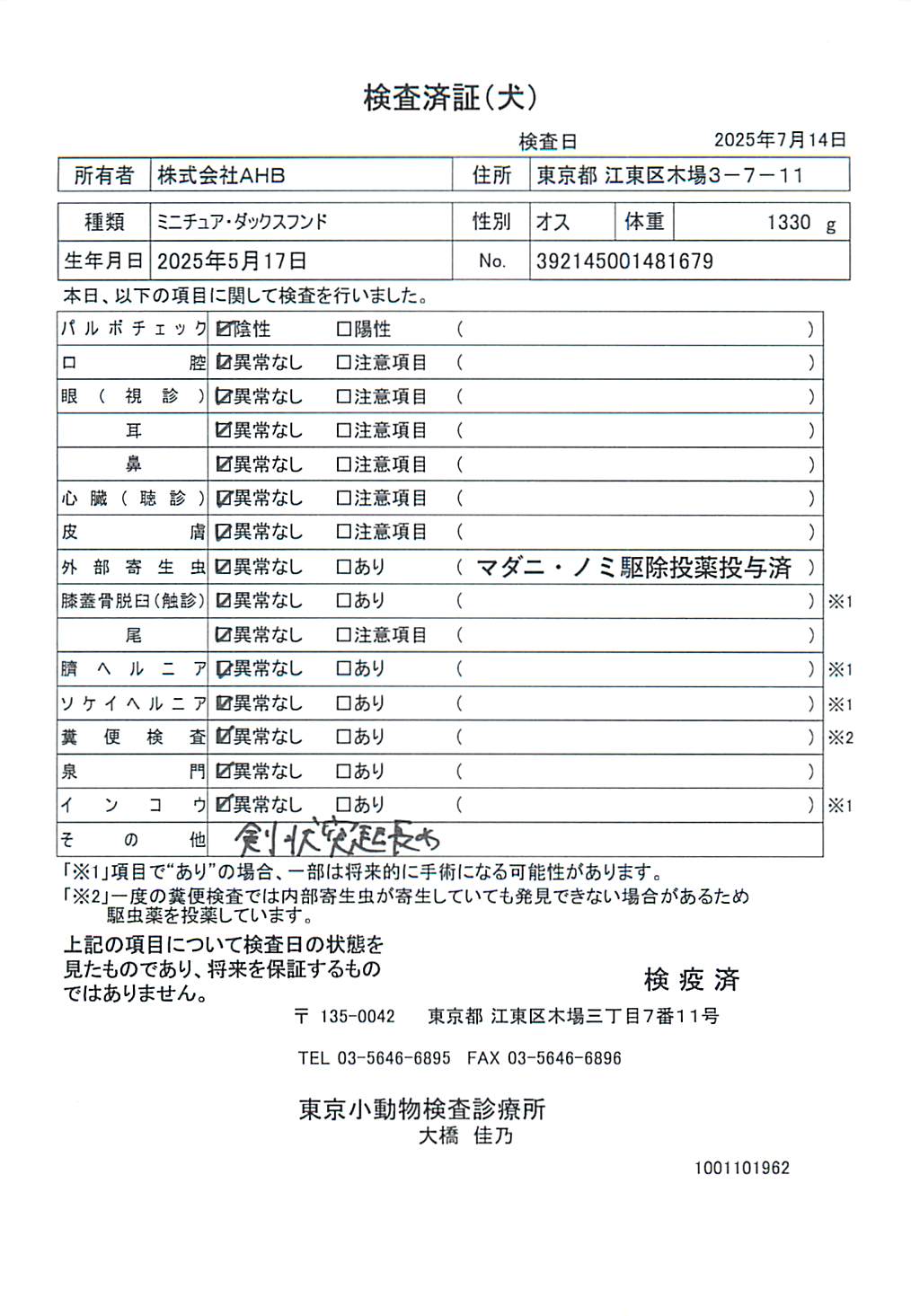 ミニチュア・ダックスフンド