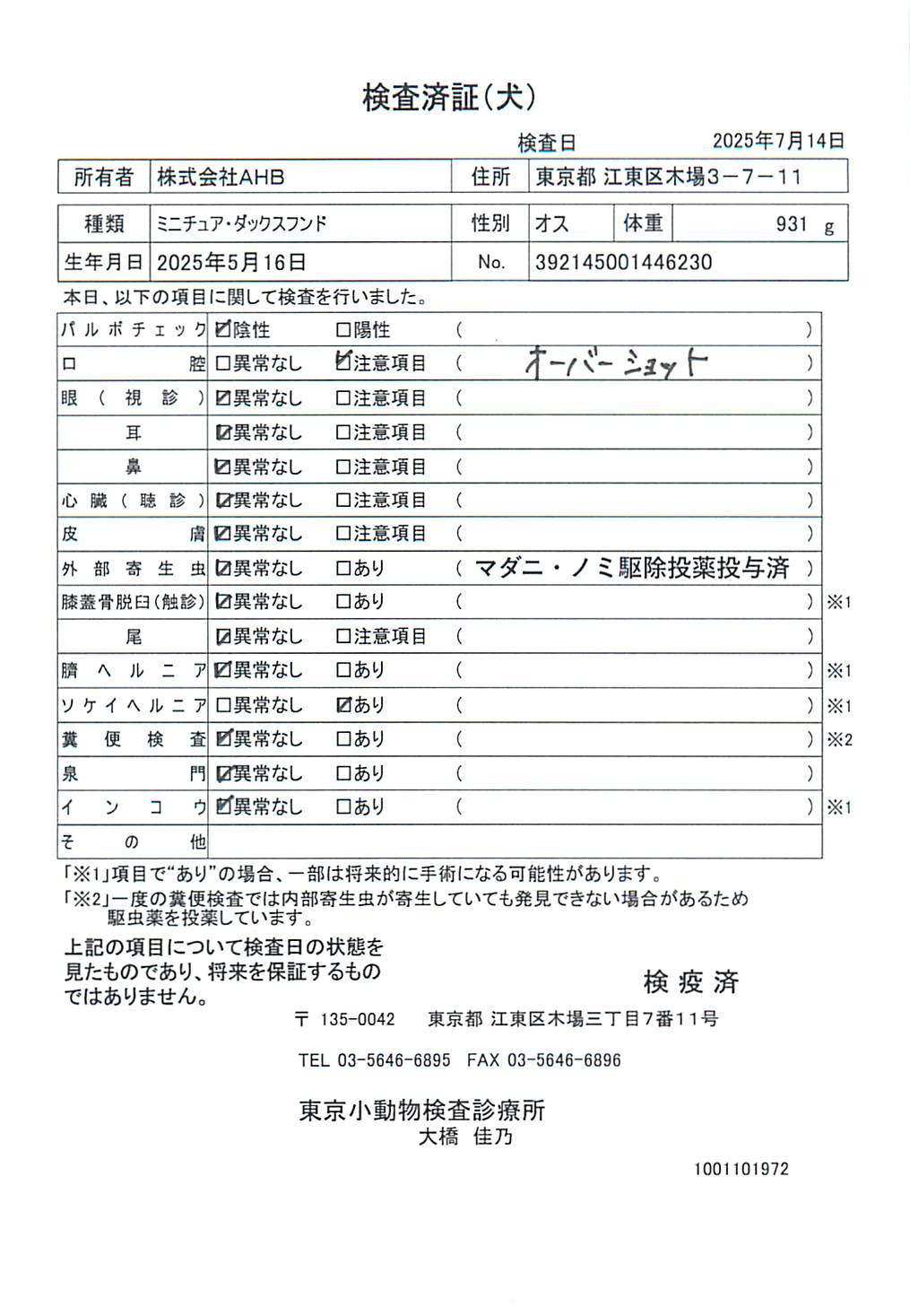 ミニチュア・ダックスフンド