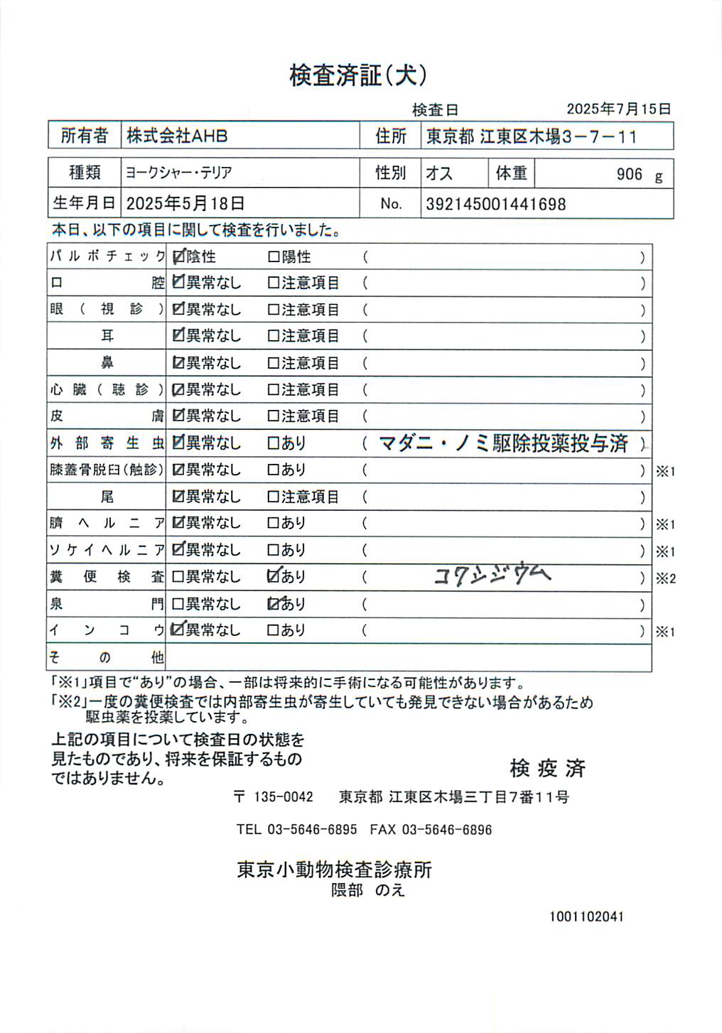 ヨークシャー・テリア