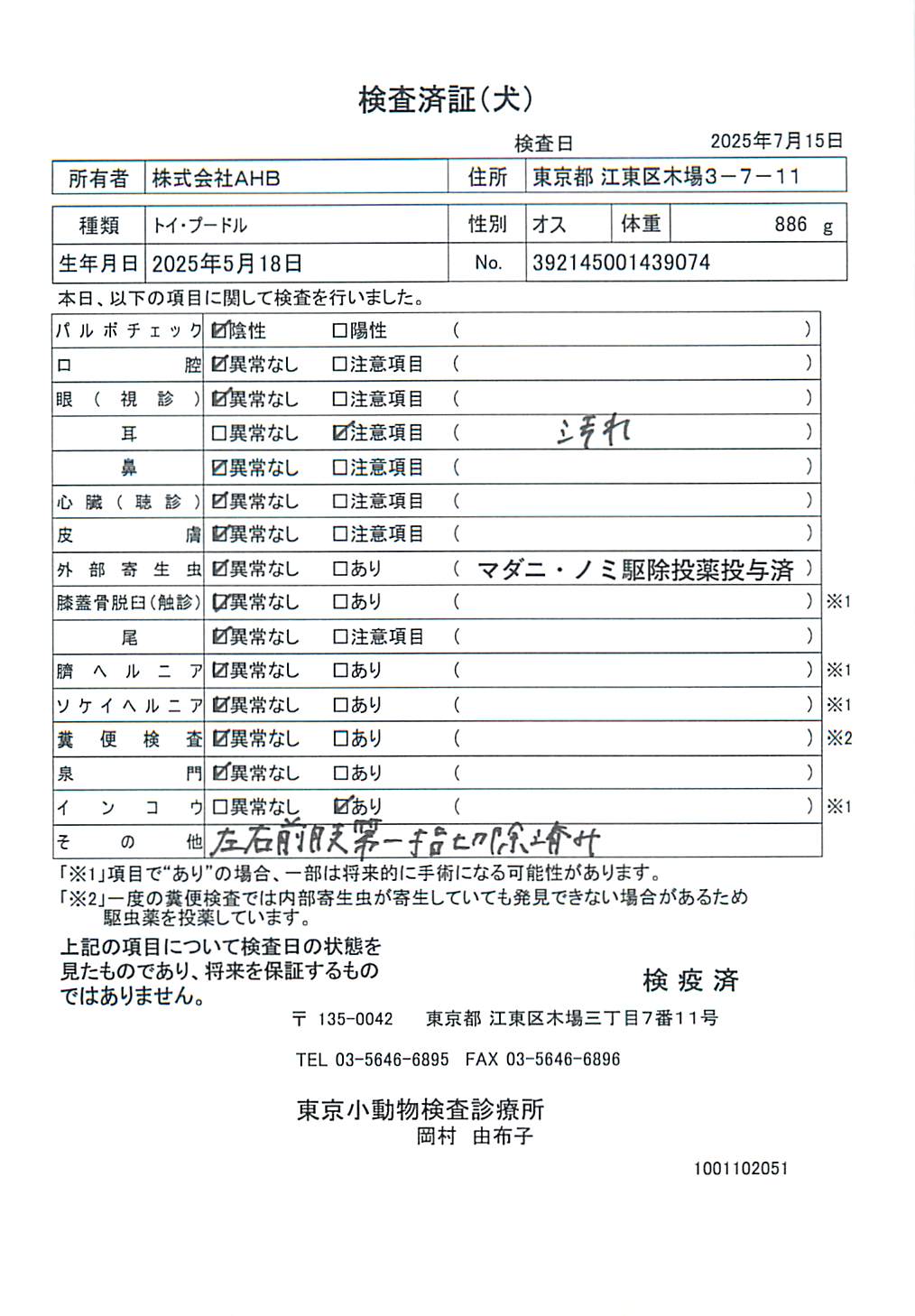 トイ・プードル