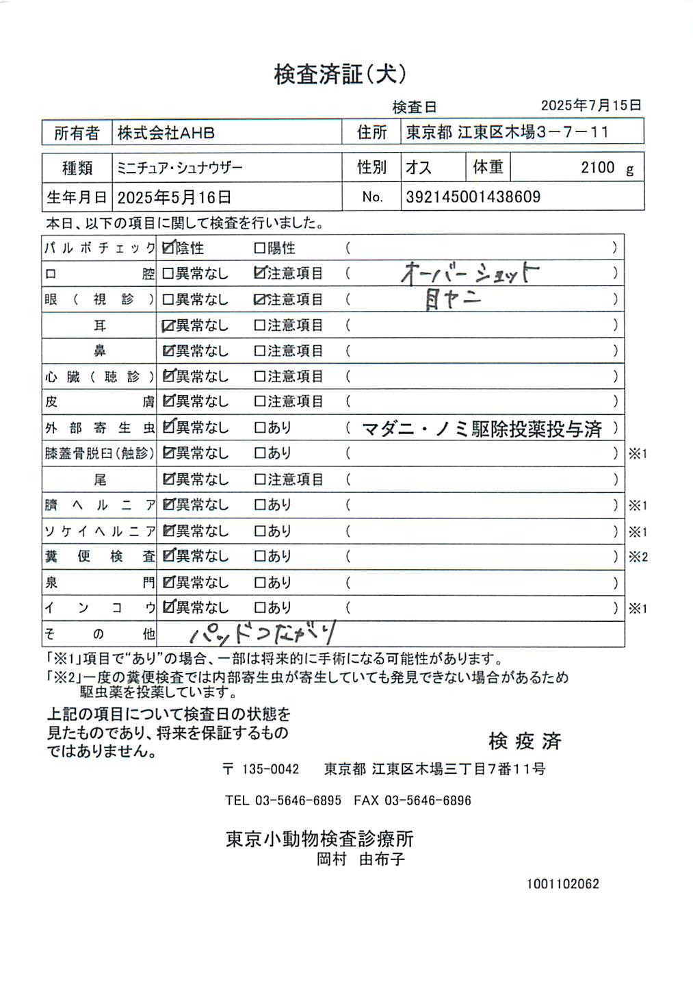 ミニチュア・シュナウザー