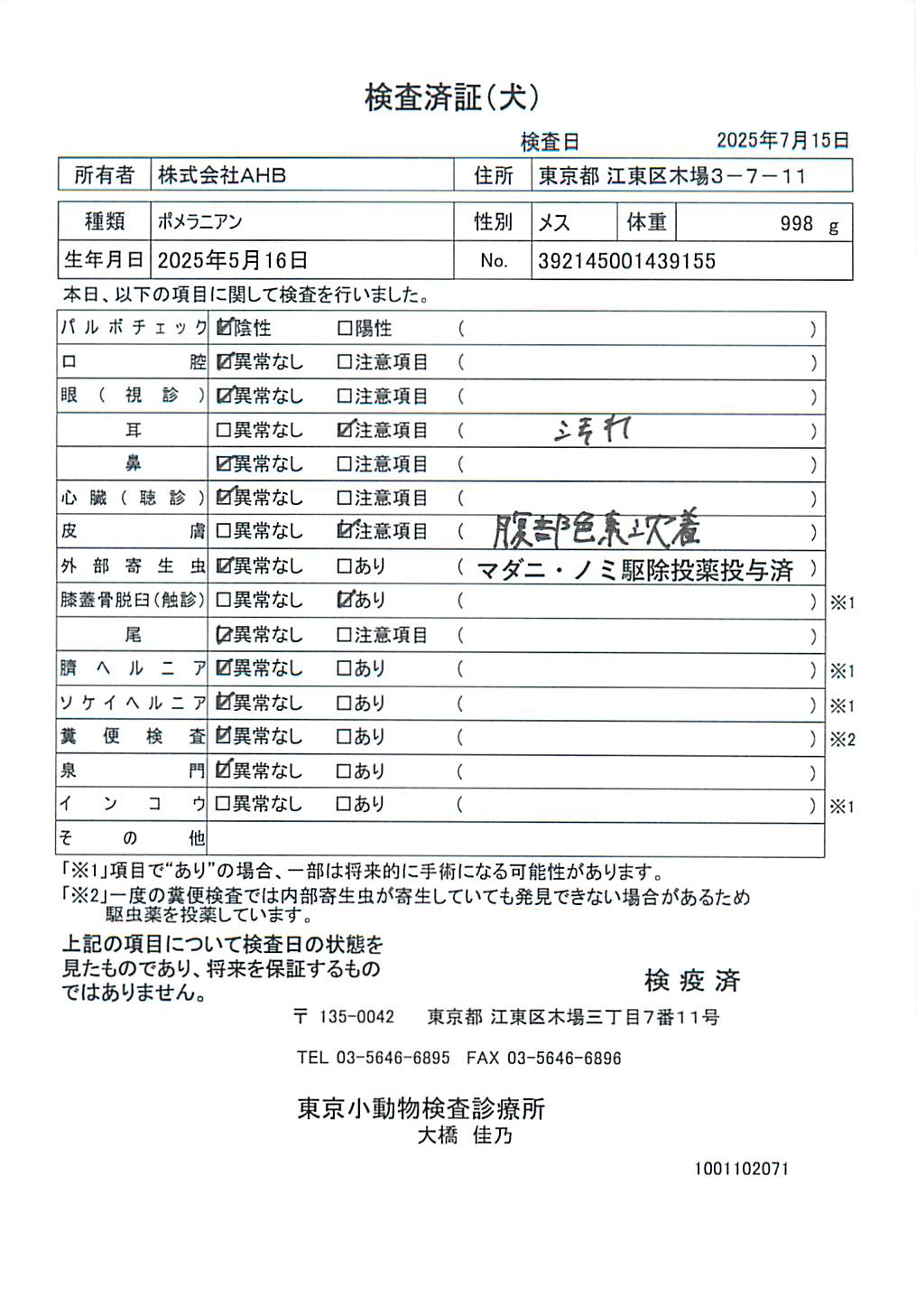 ポメラニアン
