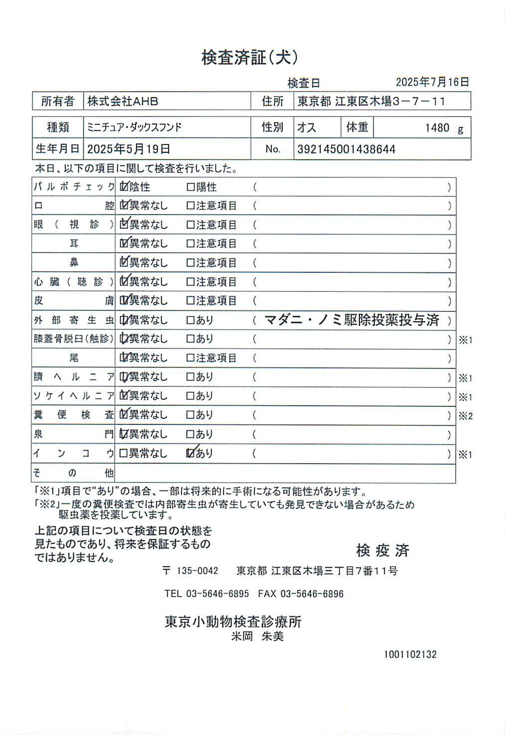 ミニチュア・ダックスフンド