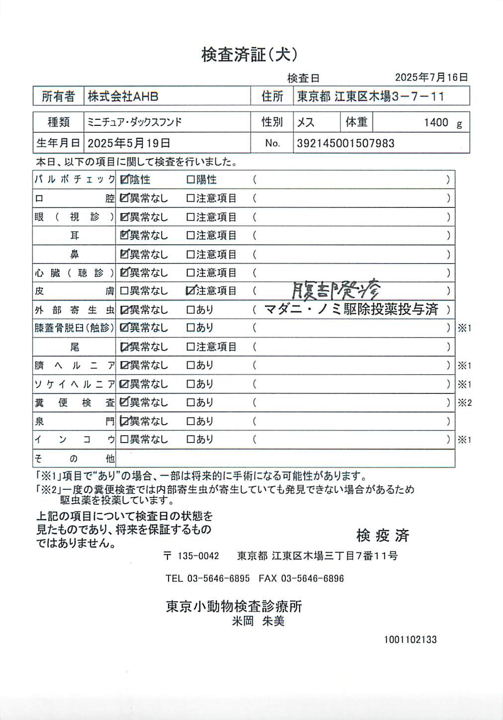 ミニチュア・ダックスフンド