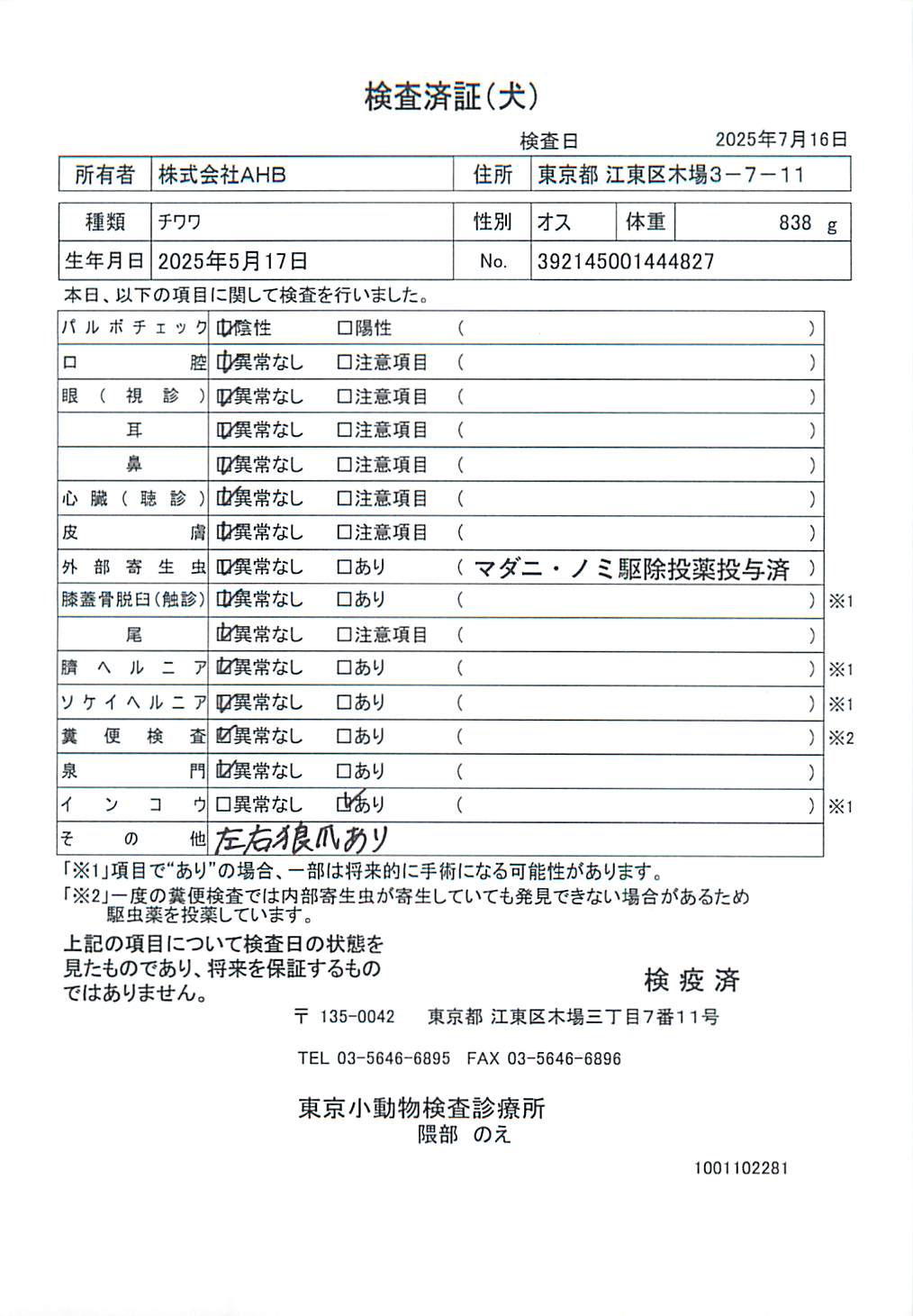 チワワ