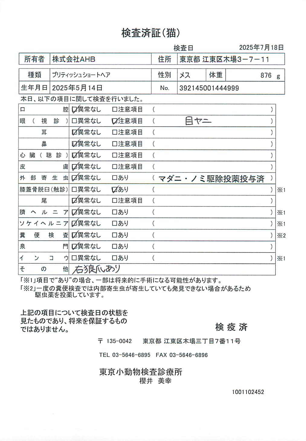 ブリティッシュショートヘア