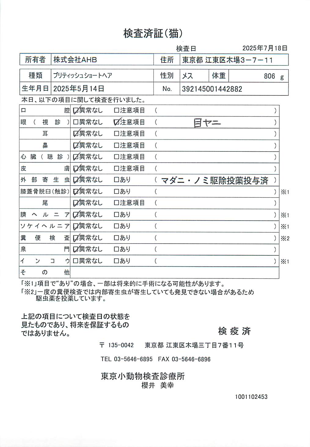 ブリティッシュショートヘア