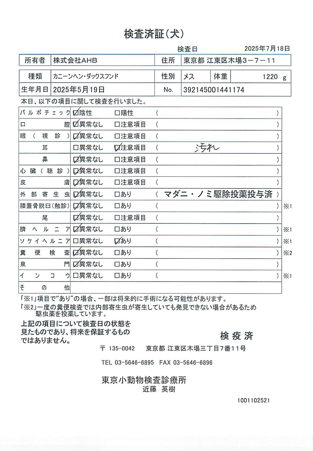 カニーンヘン・ダックスフンド