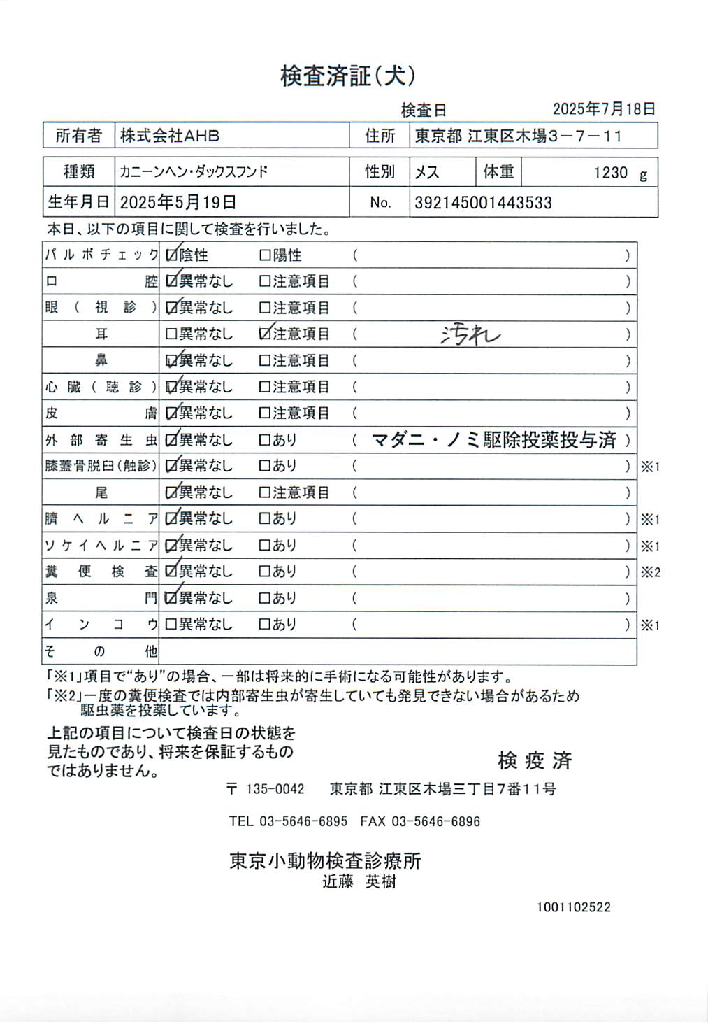 カニーンヘン・ダックスフンド
