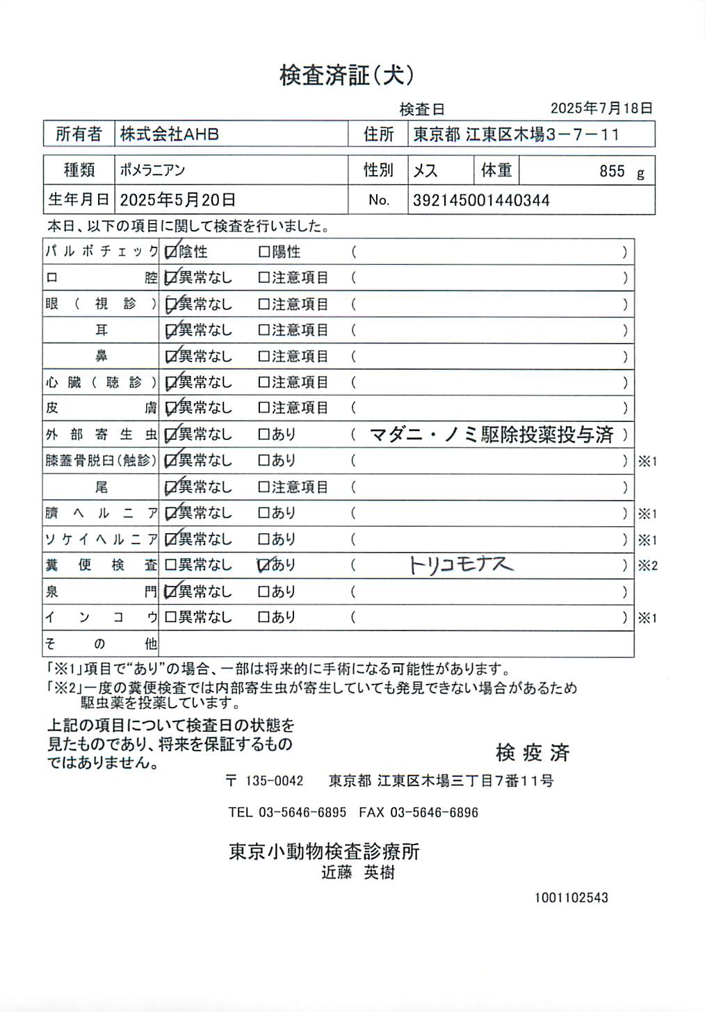 ポメラニアン