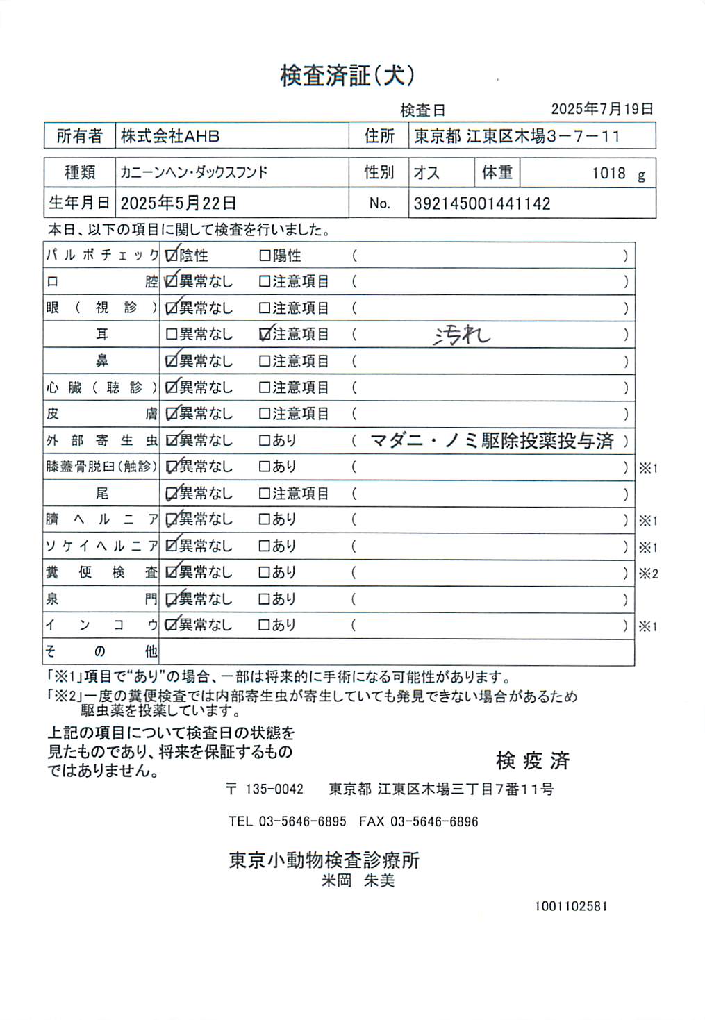 カニーンヘン・ダックスフンド