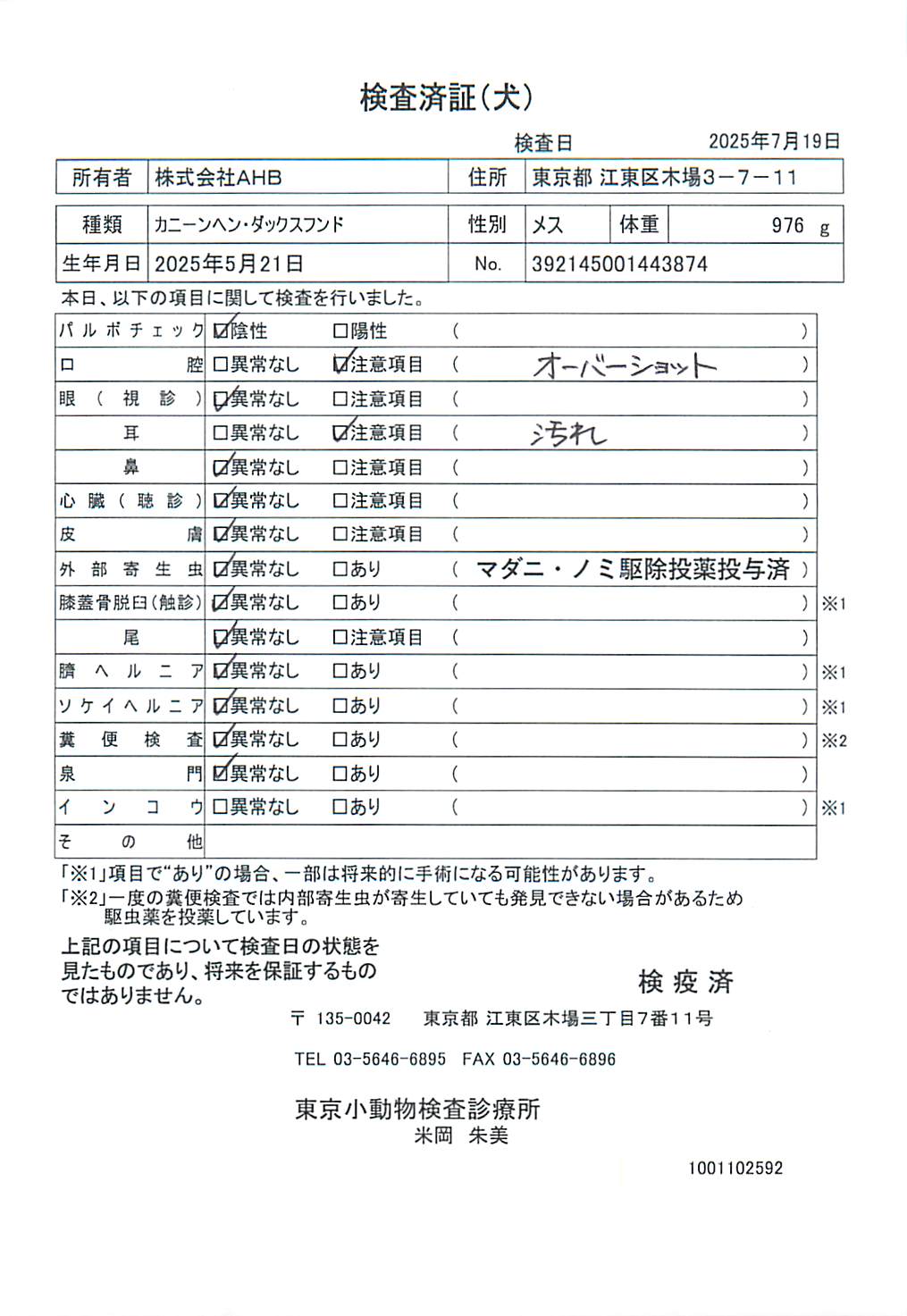 カニーンヘン・ダックスフンド