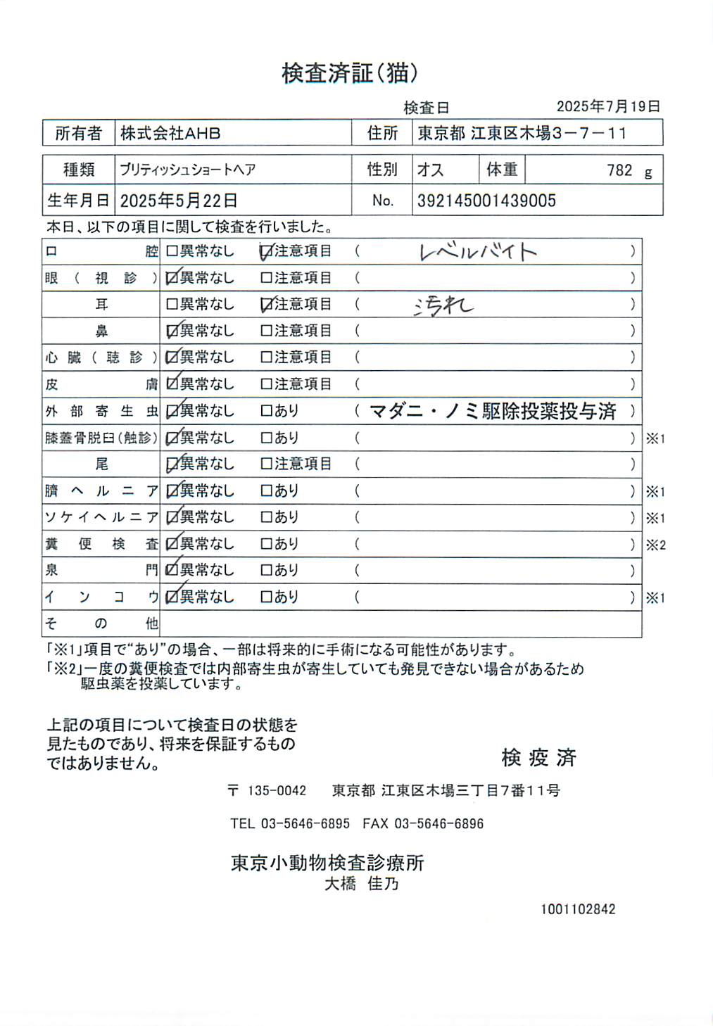ブリティッシュショートヘア
