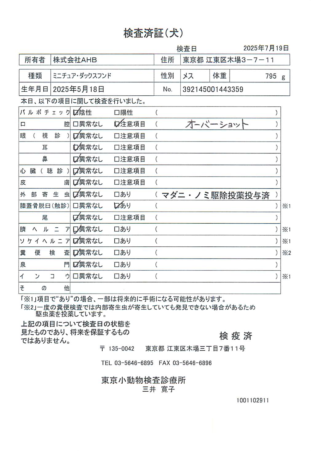 ミニチュア・ダックスフンド