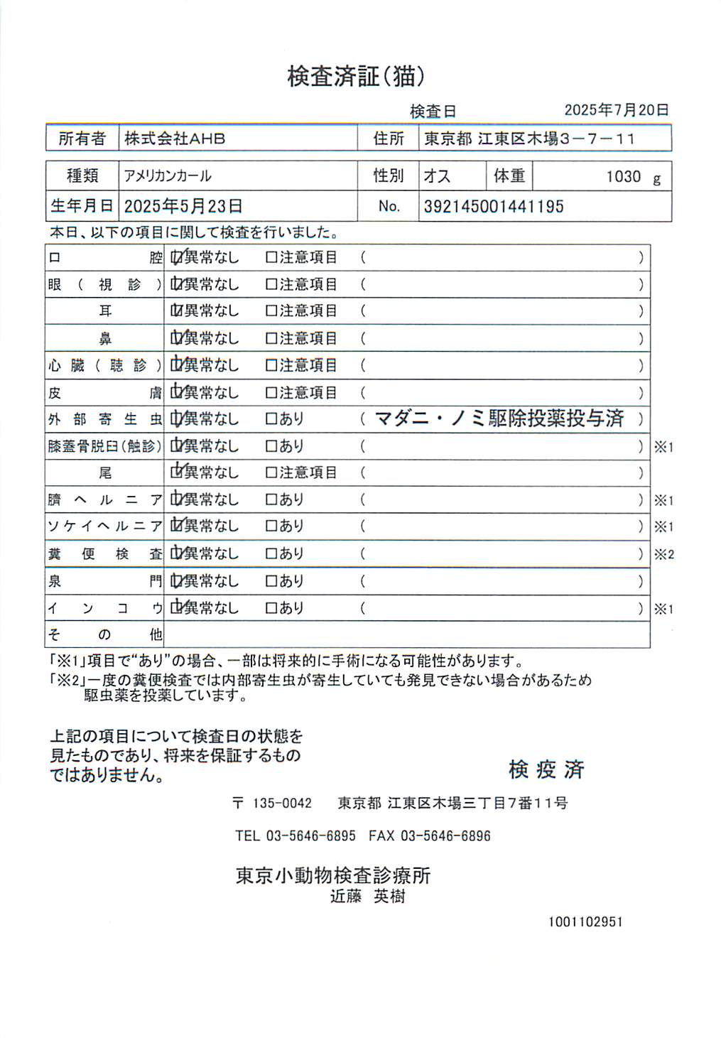 アメリカンカール